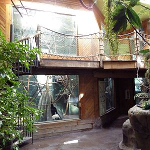 Tropical America - Mini-Rainforest Building
