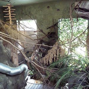 Tropical America - Mini-Rainforest Building