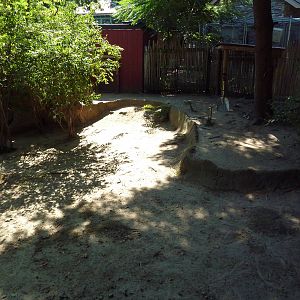 Parma Wallaby Exhibit