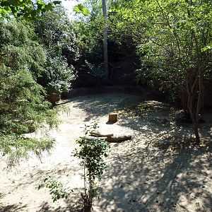 Parma Wallaby Exhibit