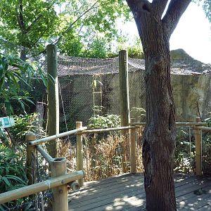 Kookaburra Exhibit