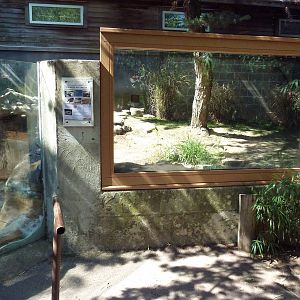 Chinese Alligator Exhibit