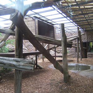 Enclosure awaiting Sun Bears from RSCC