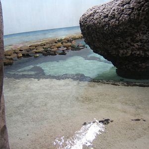 View of Burgers Ocean