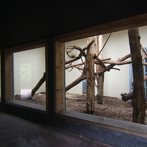 View of Sun Bears indoor enclosure at Rimba