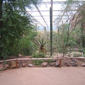 View of  Burgers Desert