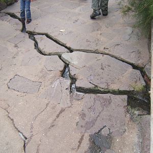 View of  Burgers Desert