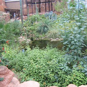 View of  Burgers Desert