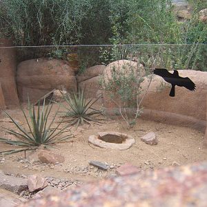 View of  Burgers Desert