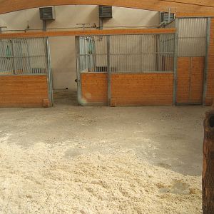 View of inside new Giraffe House