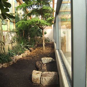 View of inside new Giraffe House
