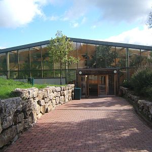 View of new Giraffe House