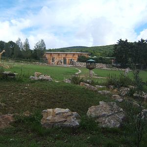 View up to new Giraffe House