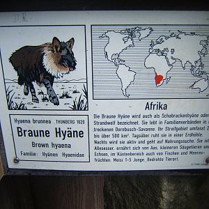 Brown Hyena sign