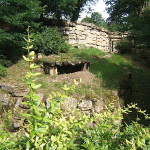 Brown Hyena enclosure