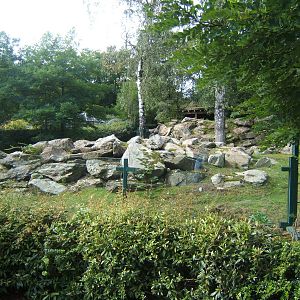 Southern Mountain Reedbuck enclosure