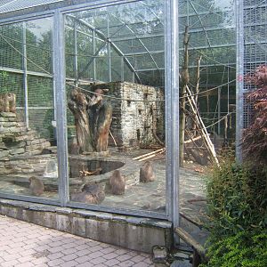 Japanese Macaque enclosure