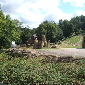 View of African Elephant enclosure