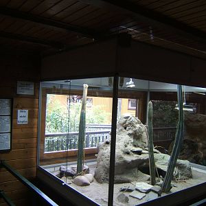 View of Reptile exhibit