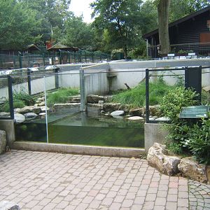 View of the native Reptiles and Amphibians exhibit