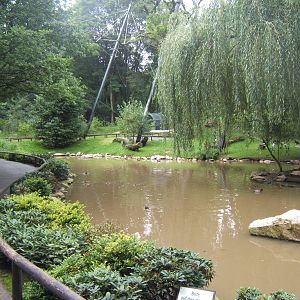 View inside walk through Aviary