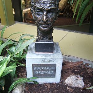 Grizmek bust inside the Grizmek House