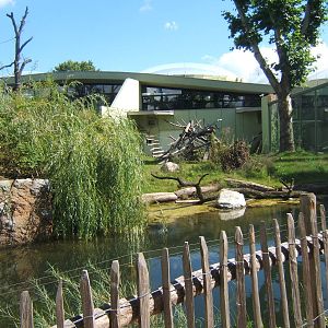 View of outside Gorilla enclosure
