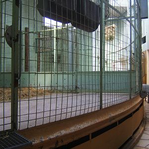View Inside Giraffe House