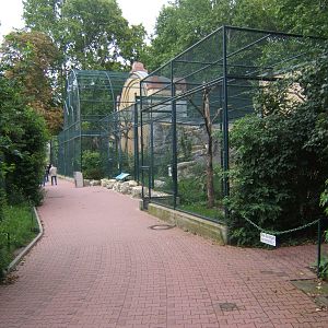 Bird of Prey Aviarys