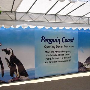 Penguin Coast (Opening Dec 2010)