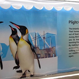 Penguin Coast (Opening Dec 2010)