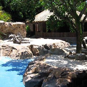 Penguin Coast (Opening Dec 2010)