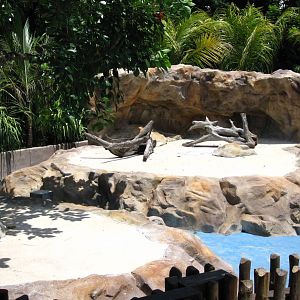 Penguin Coast (Opening Dec 2010)