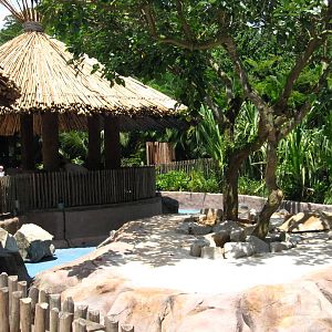 Penguin Coast (Opening Dec 2010)