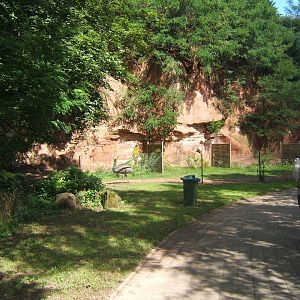 View to Emu enclosure