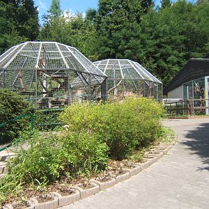 Outdoor Chimp enclosures