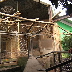 View inside Tapir House