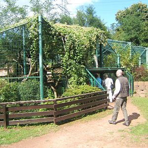 View of Jaguar enclosure