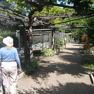 View of Parrot Aviarys