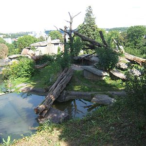 View from the top of the Bear enclosures