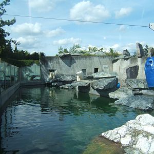 Polar Bear enclosure