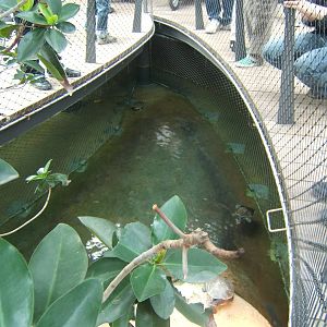 View of Turtle enclosure inside the Croc exhibit