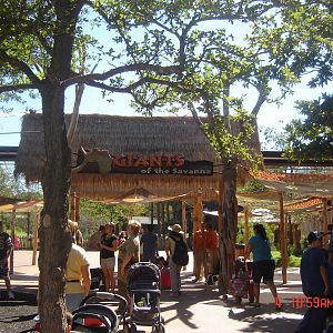 Giants of the Savanna