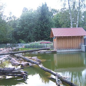 European Otter enclosure
