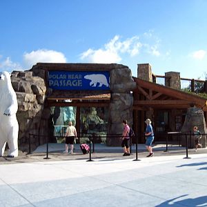 Polar Bear Passage