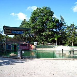 KidZone-California Sea Lion Pool