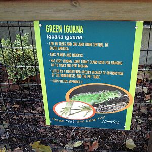 Tropical Animals-Signage