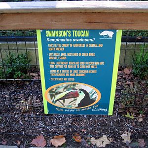Tropical Animals-Signage
