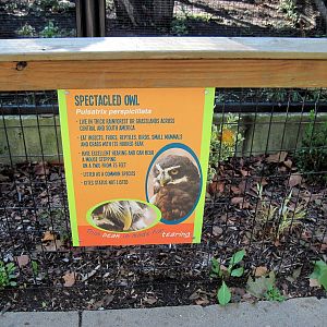 Tropical Animals-Signage