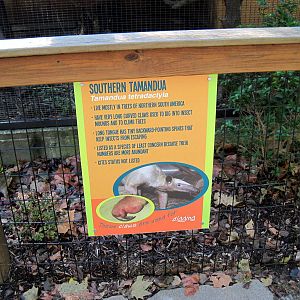 Tropical Animals-Signage